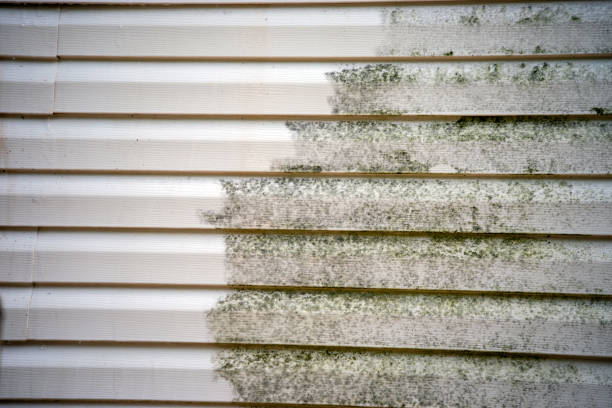Best Shed Removal  in Aurora, SD