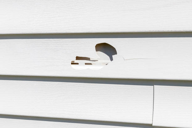 Best Foreclosure Cleanout  in Aurora, SD