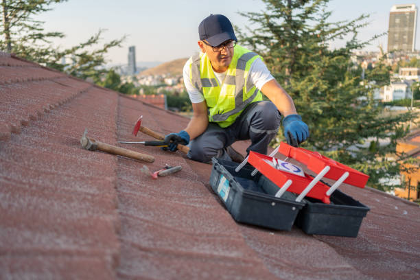 Best Same-Day Junk Removal Services  in Aurora, SD